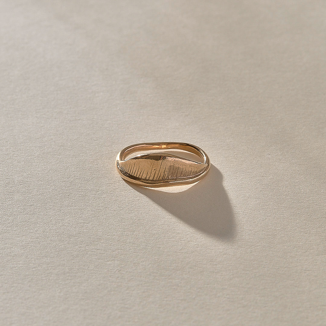 Devotions Ring | Bronze