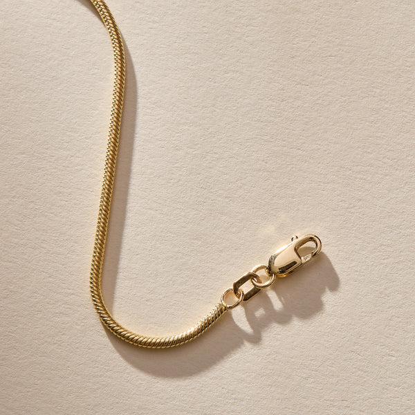 Jera  Snake Chain Anklet