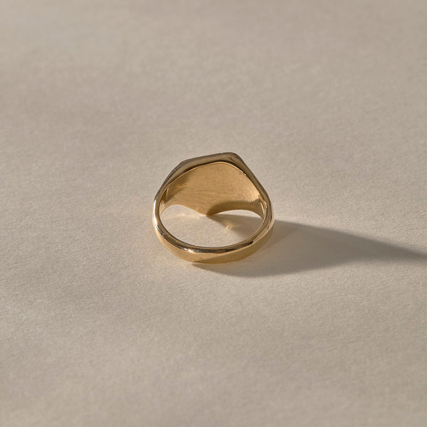 One Of A Kind | Rough Polished Diamond Signet #1