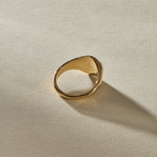 Éclat Rosecut Salt & Pepper Diamond Ring | OOAK