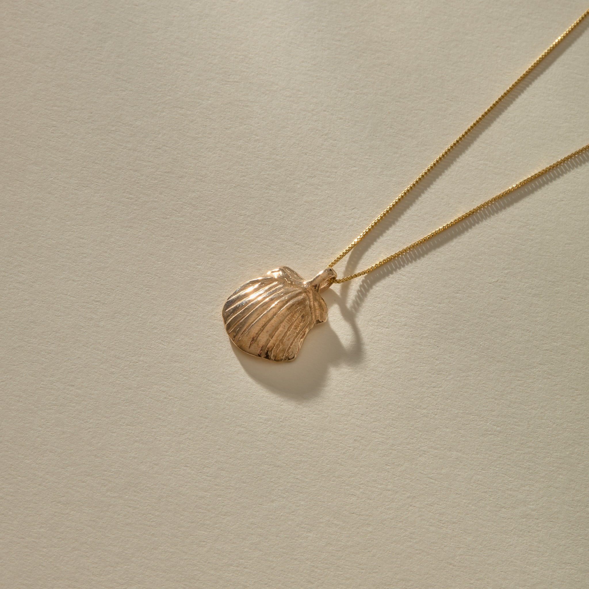 Elysian Shell Necklace | Bronze