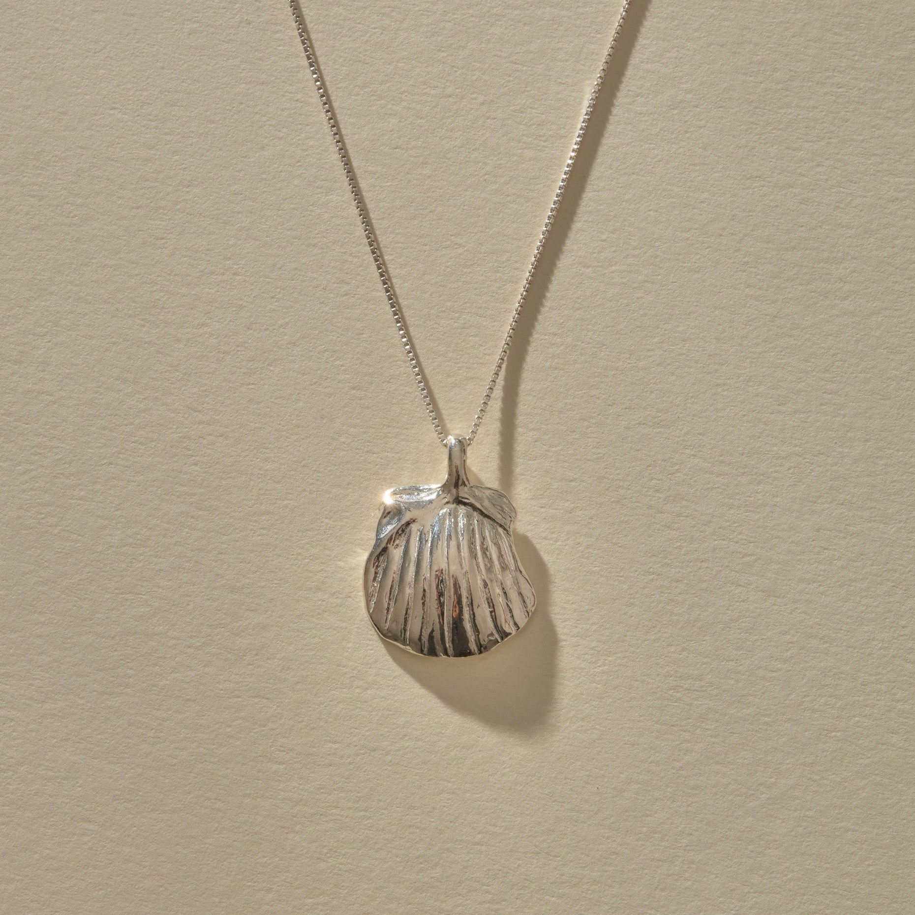 A silver shell pendant necklace with a textured, ribbed seashell design hanging from a delicate silver chain against a warm beige background.