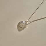 Elysian Shell Necklace | Silver