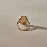 Scarab Ring | Bronze
